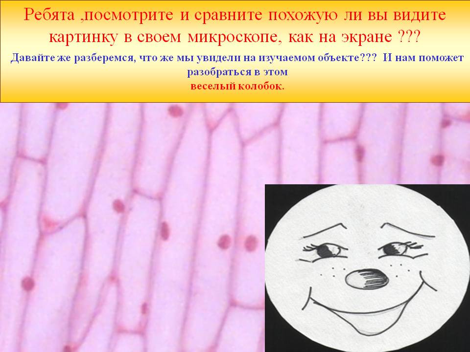 Посмотрите и сравните