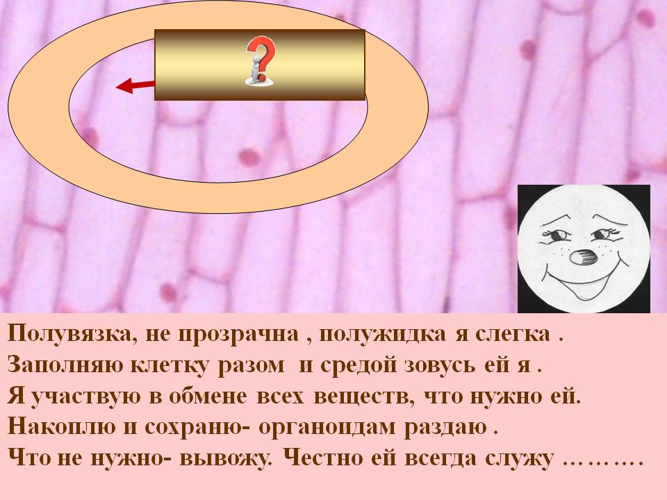 Заполняю клетку разом и средой зовусь ей я