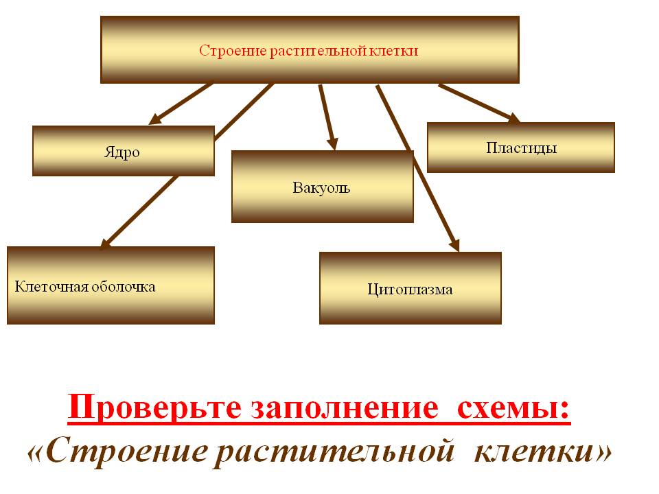Проверьте заполнение схемы
