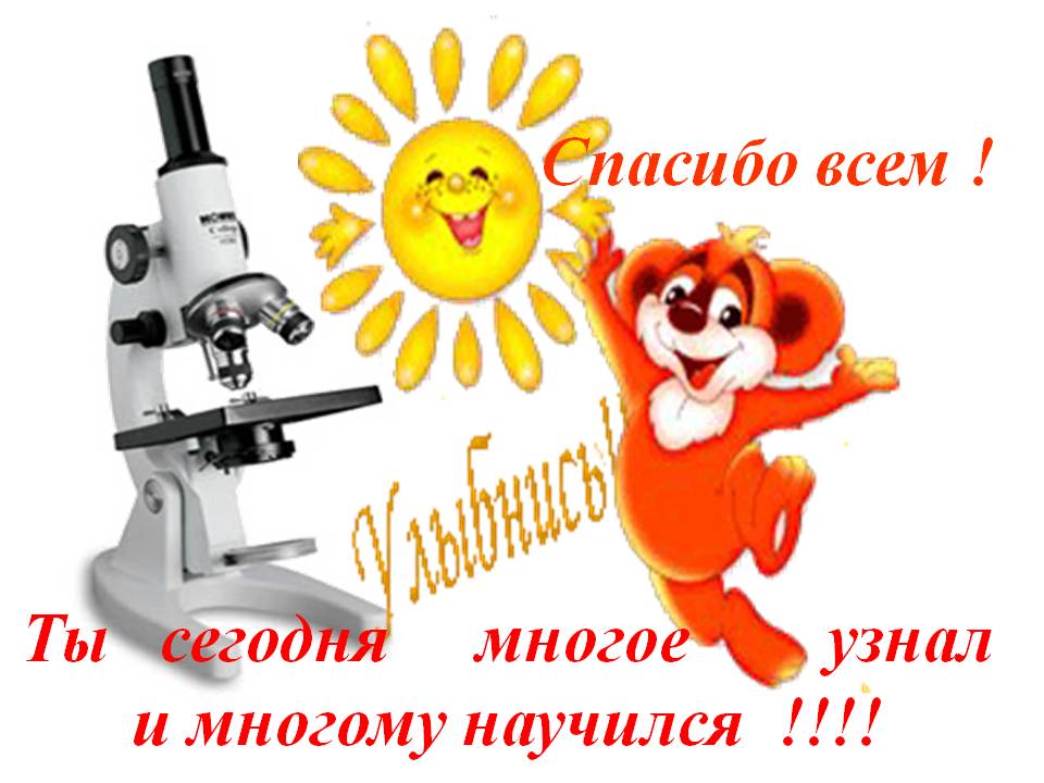 Спасибо всем
