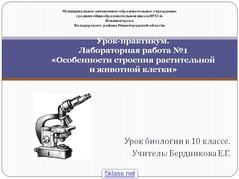 Урок биологии в 10 классе
