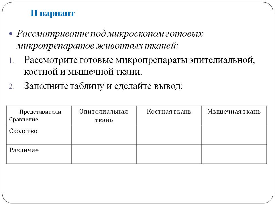 Рассматривание под микроскопом готовых микропрепаратов животных тканей