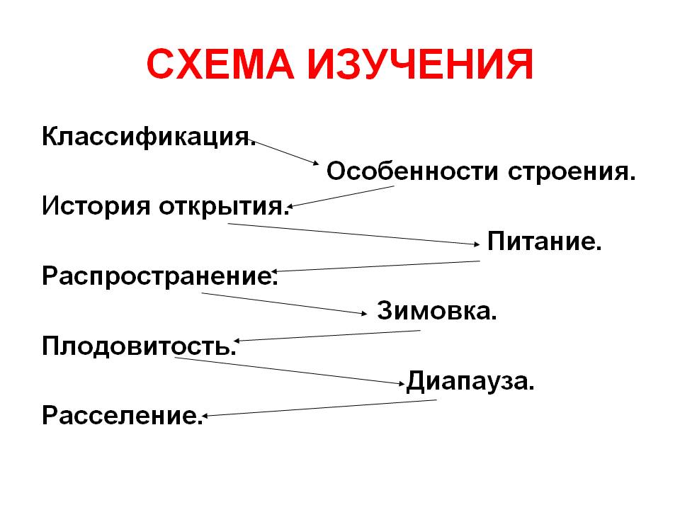 Схема изучения