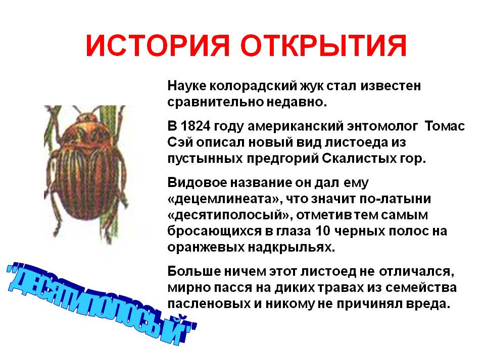 История открытия