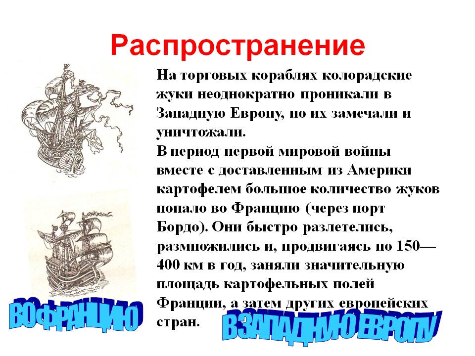 Порт Бордо