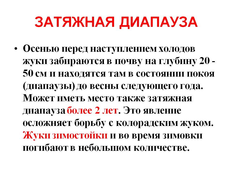Затяжная диапауза