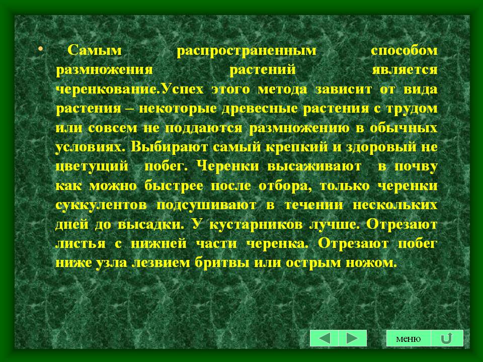 Черенкование