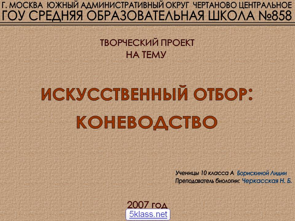 Творческий проект