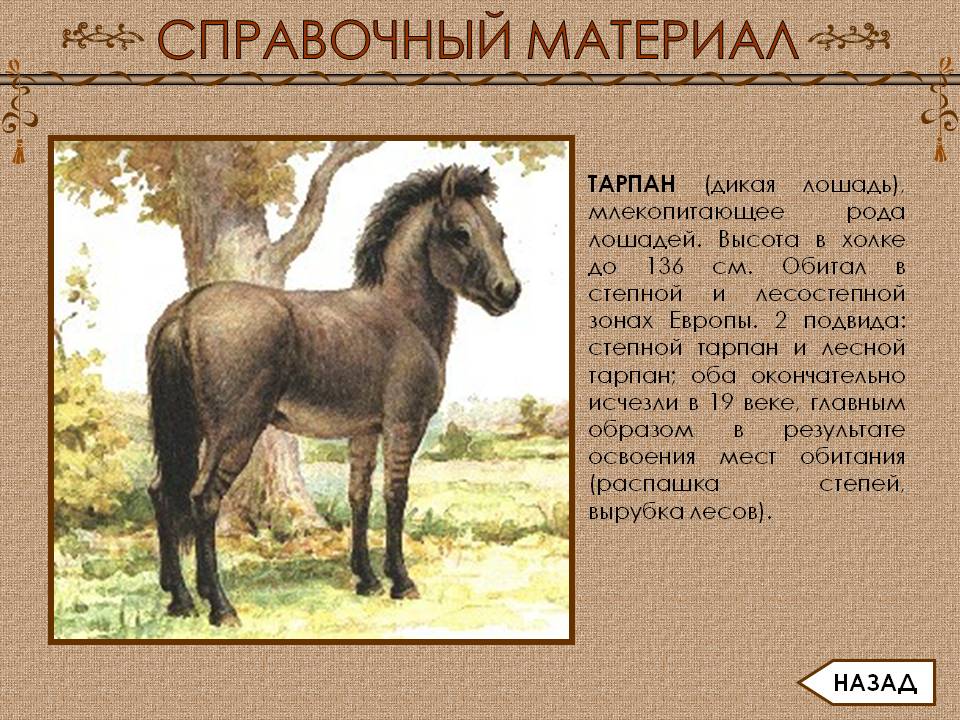 Справочный материал