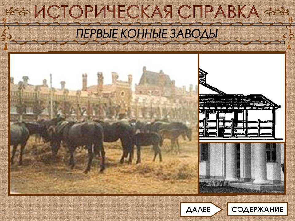 Первые конные заводы