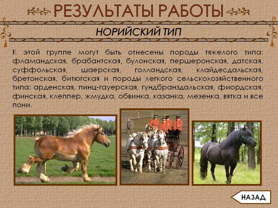 Породы тяжелого типа
