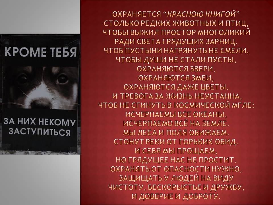 Охраняется “Красною книгой” столько редких животных и птиц