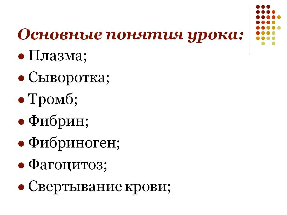 Основные понятия урока: