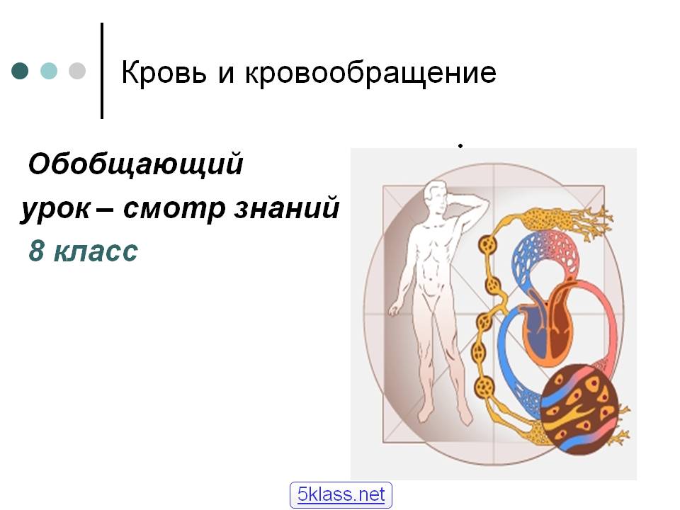 Кровь и кровообращение
