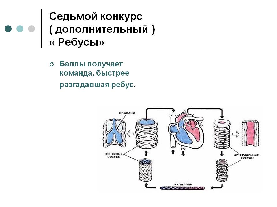 Ребусы
