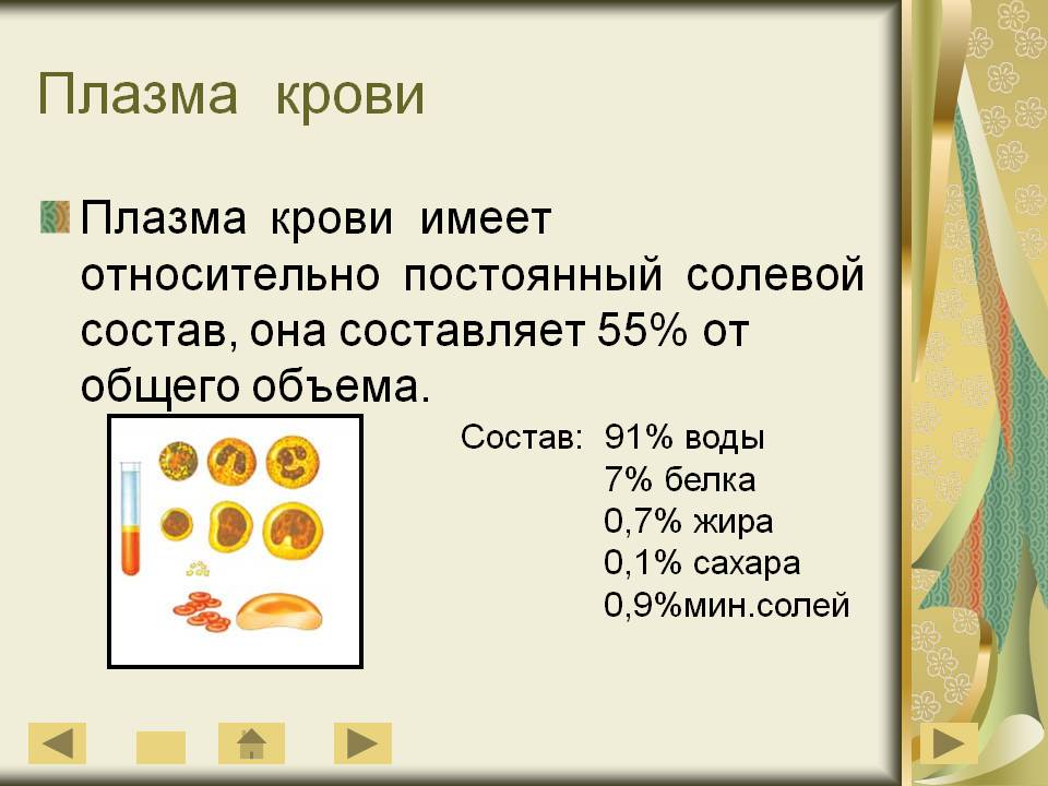 Плазма крови