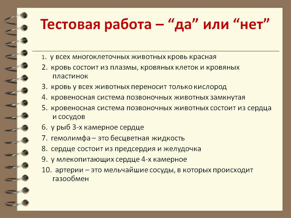 Тестовая работа – “да” или “нет”