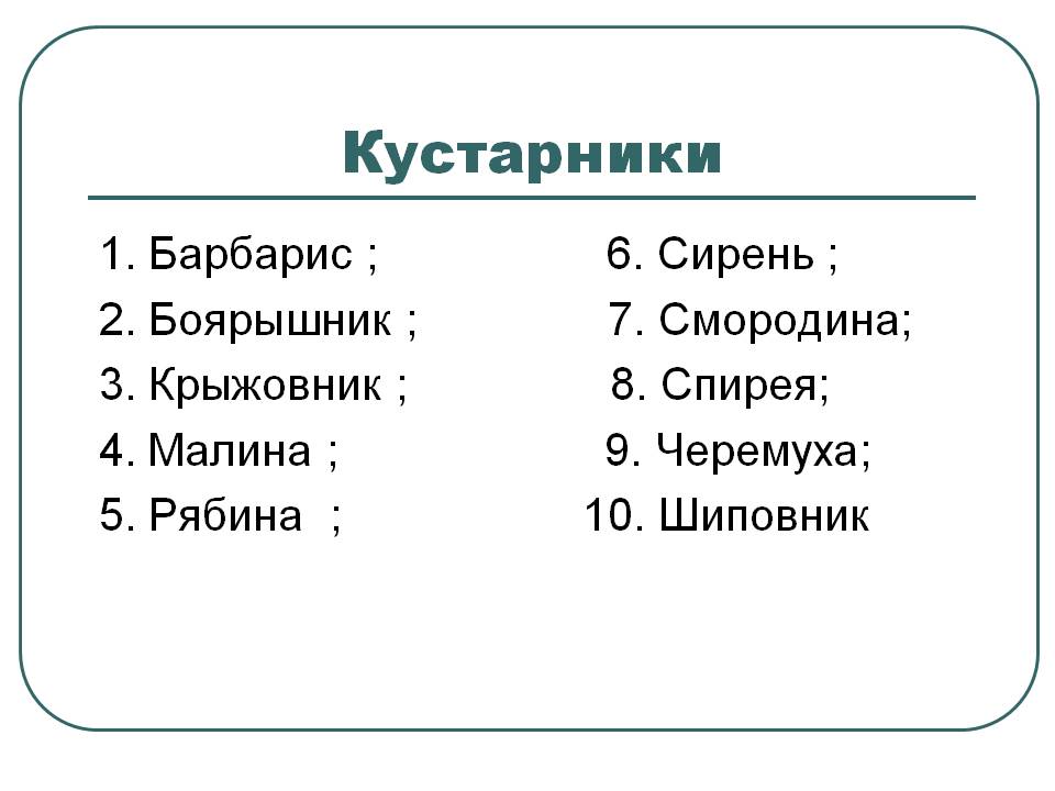 Кустарники