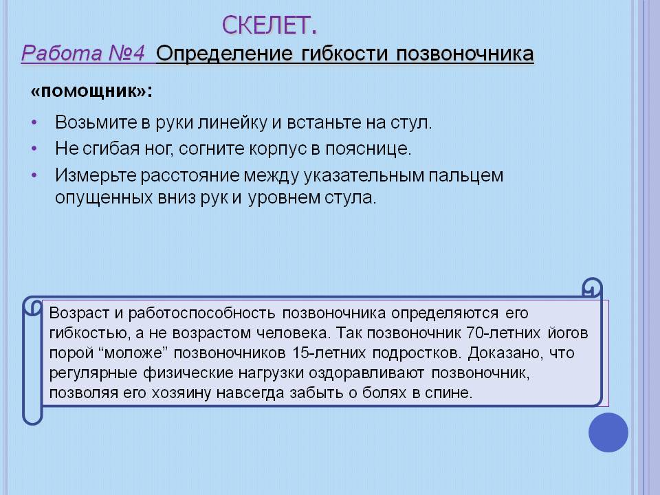 Скелет