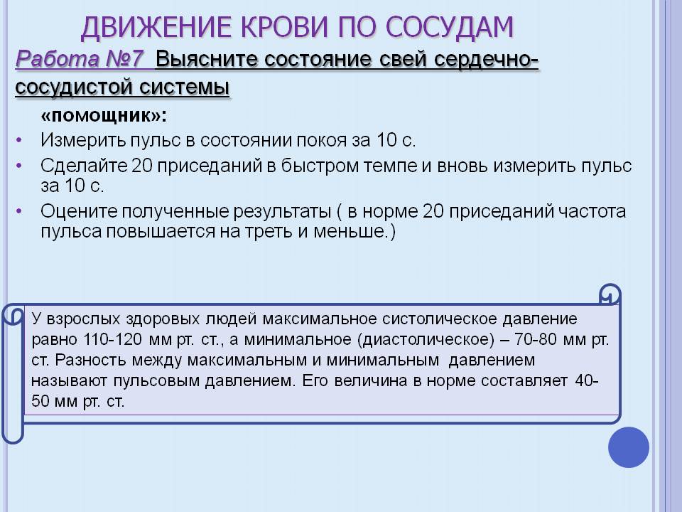 Движение крови по сосудам