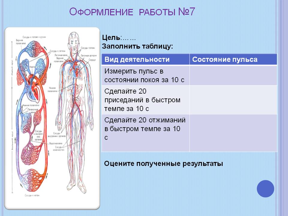 Вид деятельности