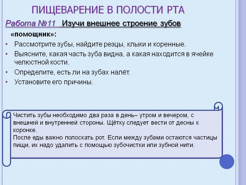 Пищеварение в полости рта