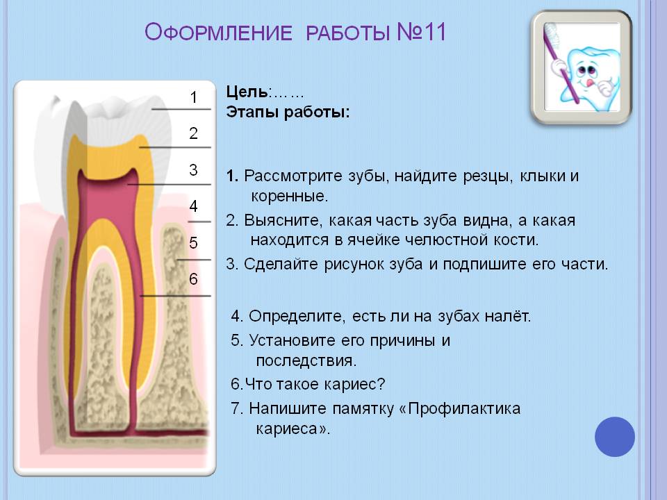 Рассмотрите зубы
