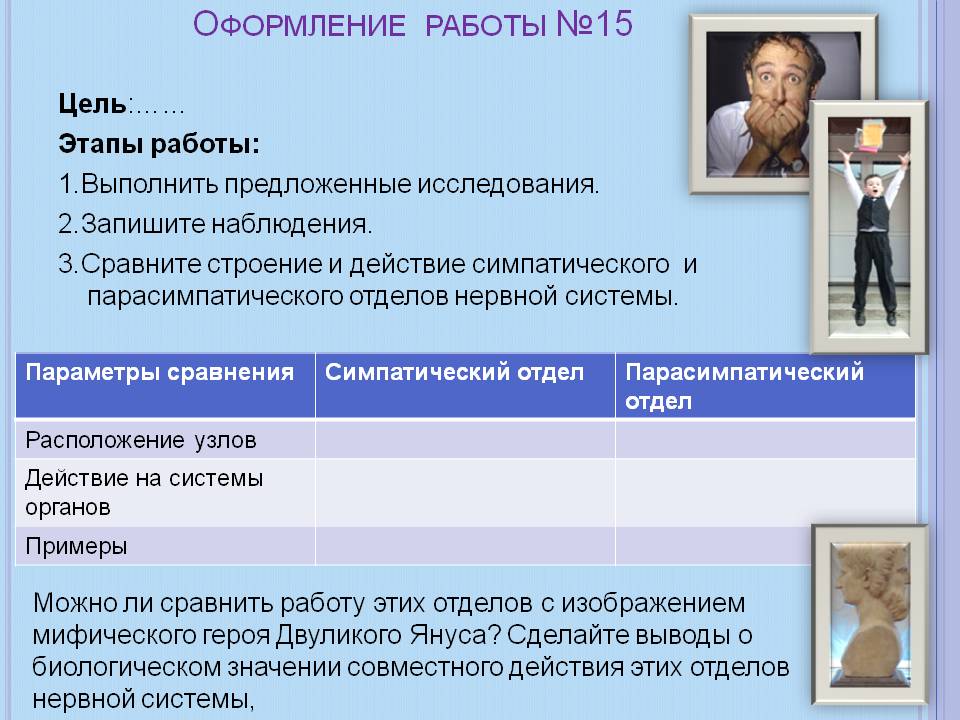 Симпатический отдел