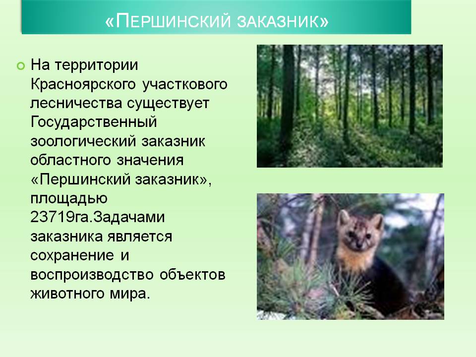 Першинский заказник