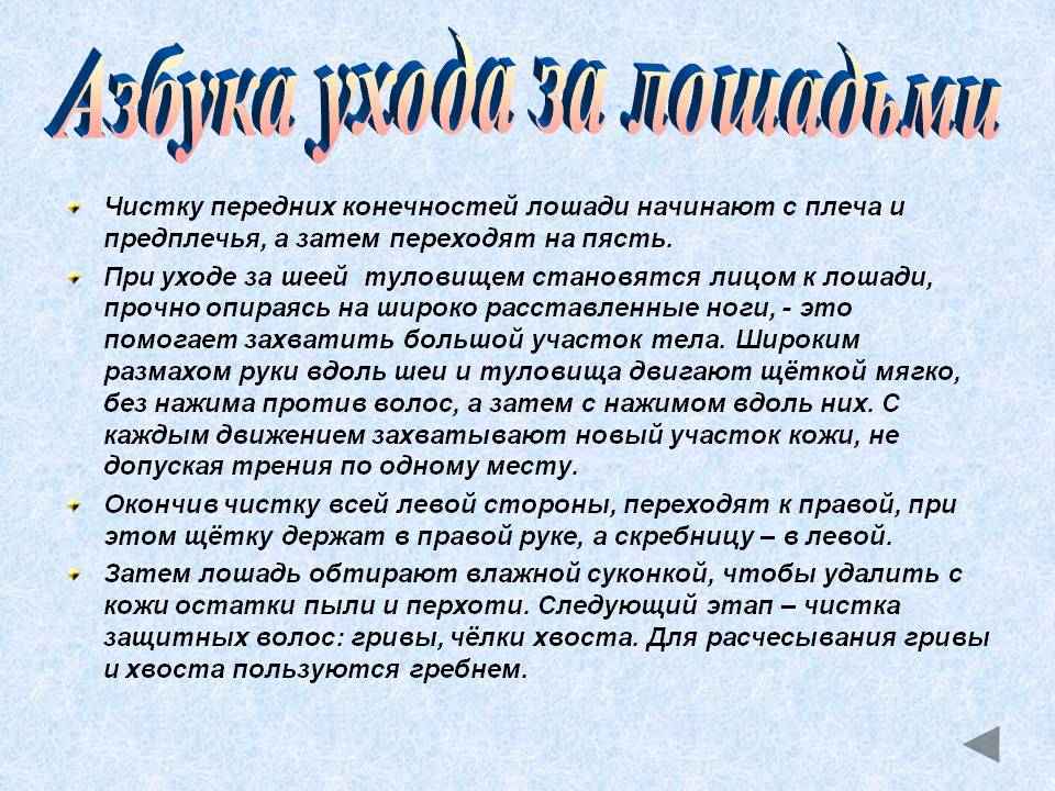Азбука ухода за лошадьми