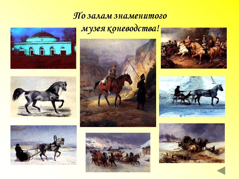 По залам знаменитого музея коневодства