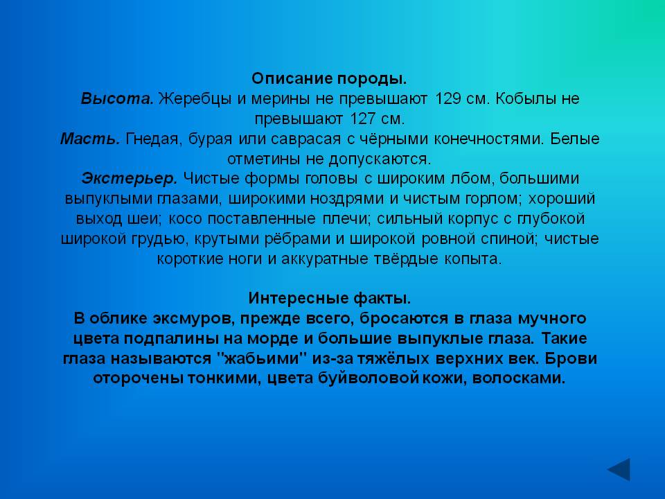 Описание породы