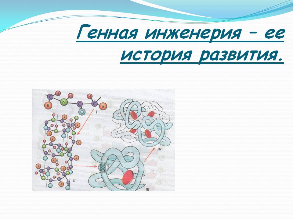История развития