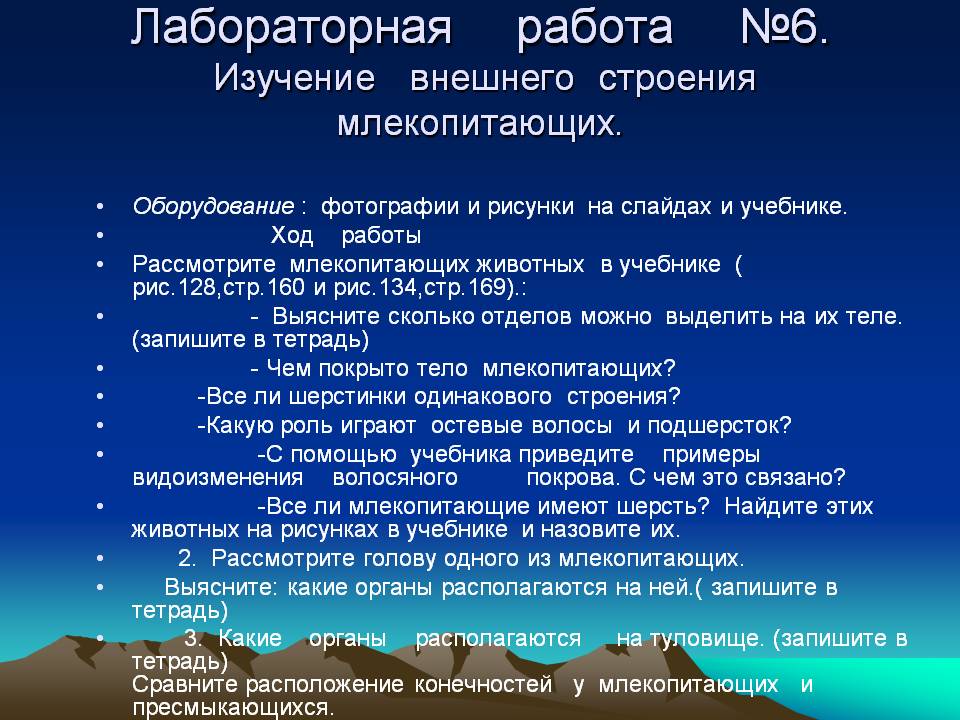 Лабораторная работа №6