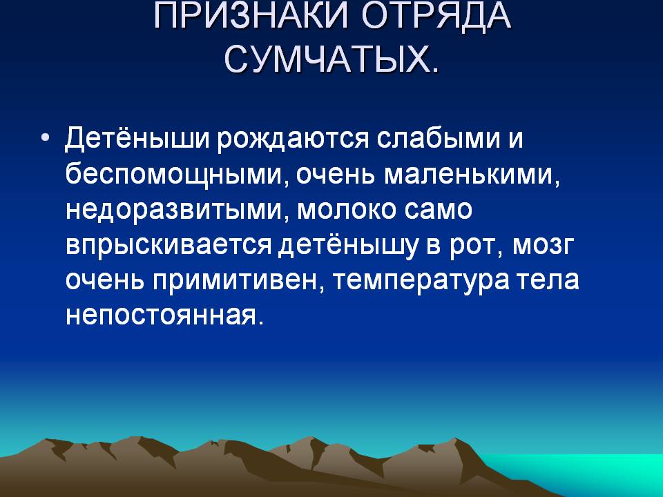 Признаки отряда сумчатых