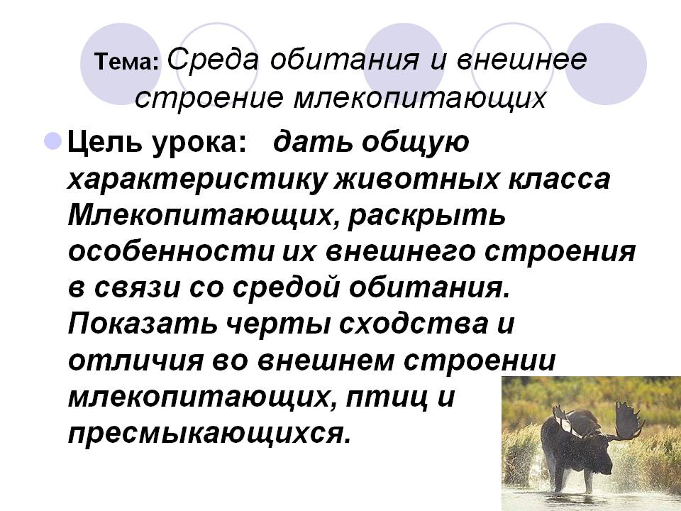 Тема: Среда обитания и внешнее строение млекопитающих