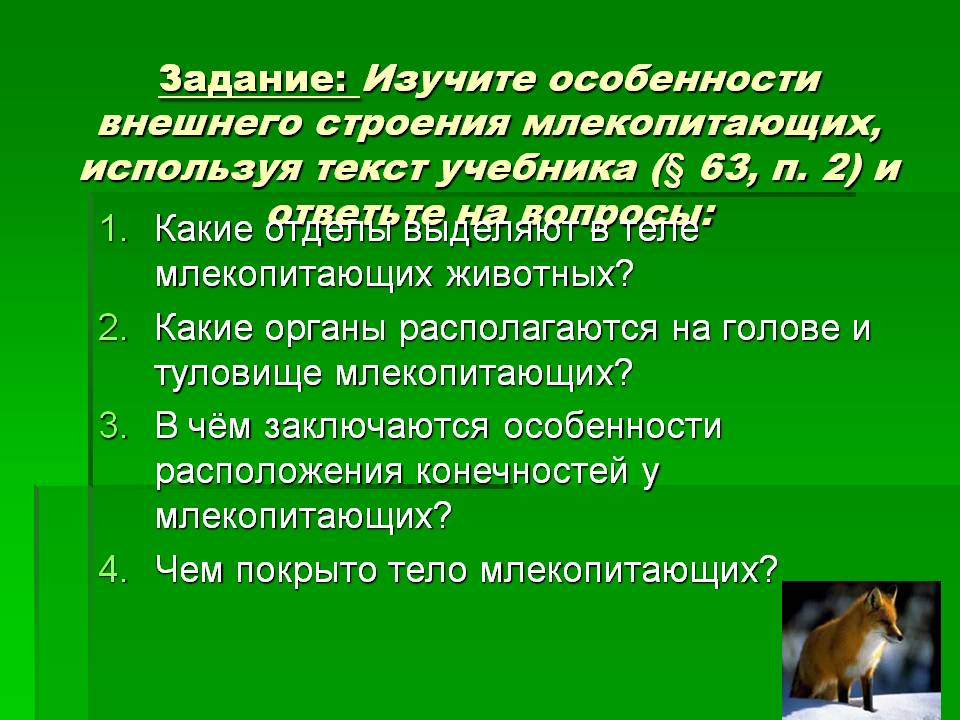 Задание: Изучите особенности внешнего строения млекопитающих,