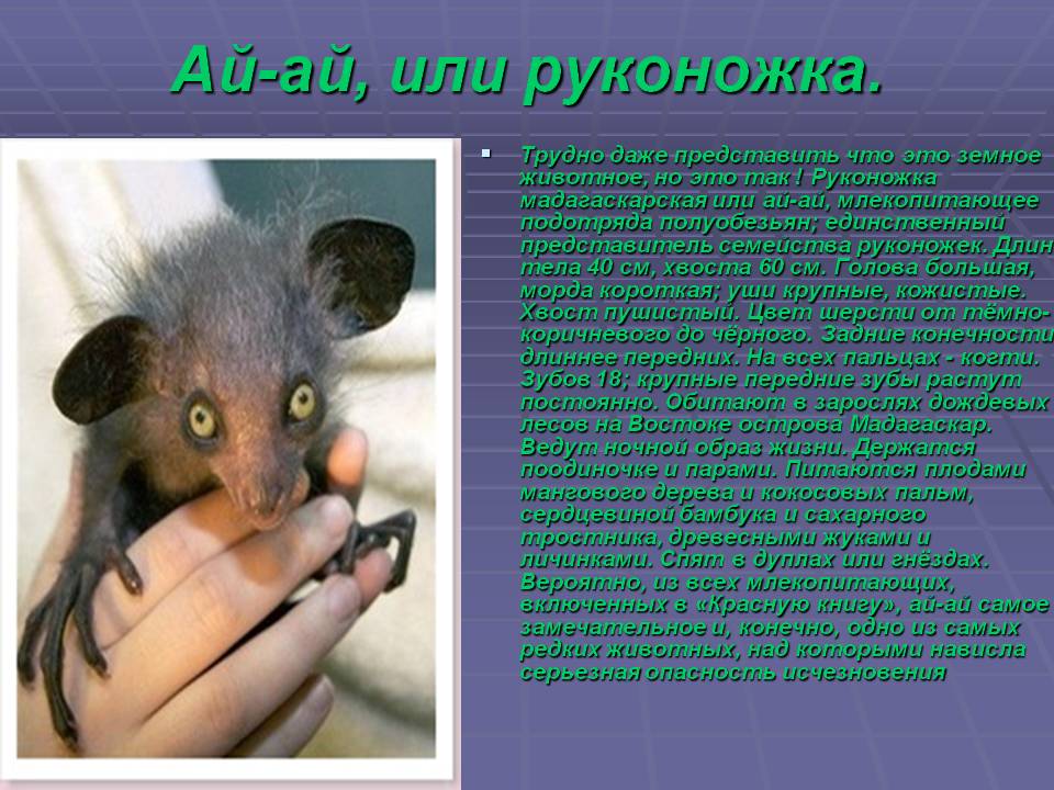Руконожка