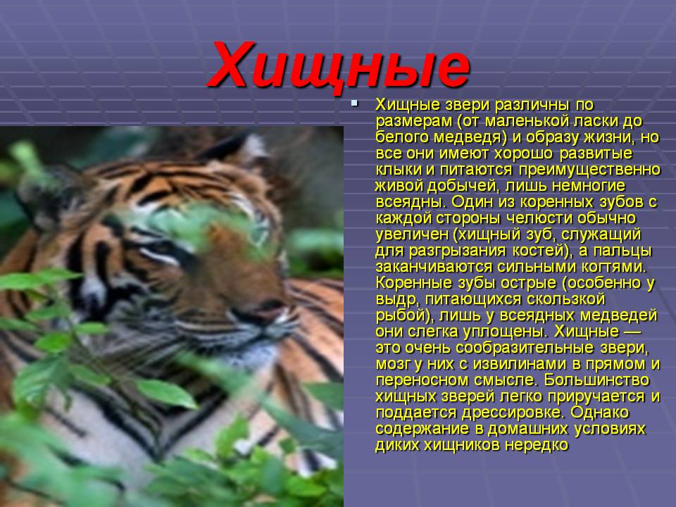 Хищные