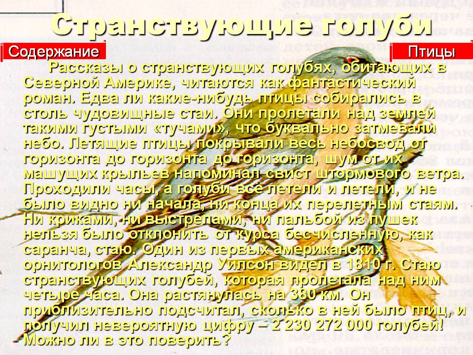Странствующие голуби