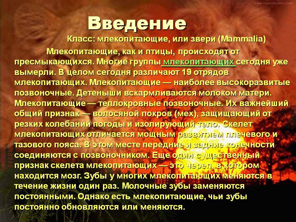 Введение