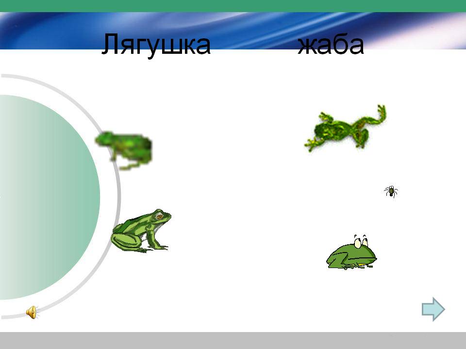 Лягушка