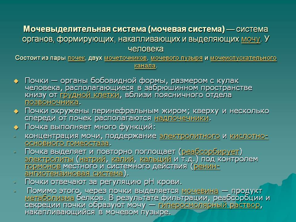 Мочевыделительная система (мочевая система) — система органов,