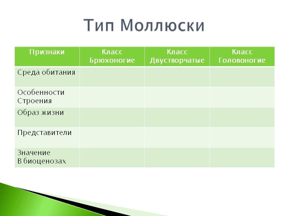 Моллюски биология