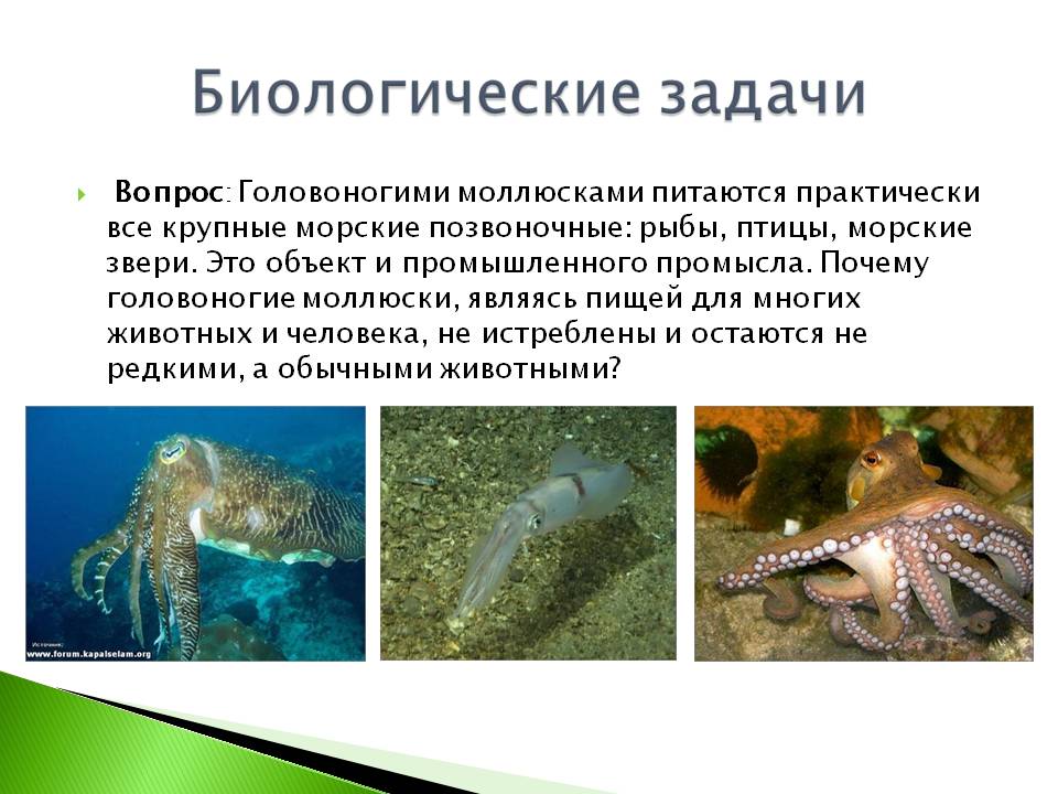 Биологические задачи