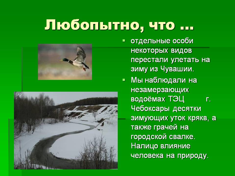 Отдельные особи