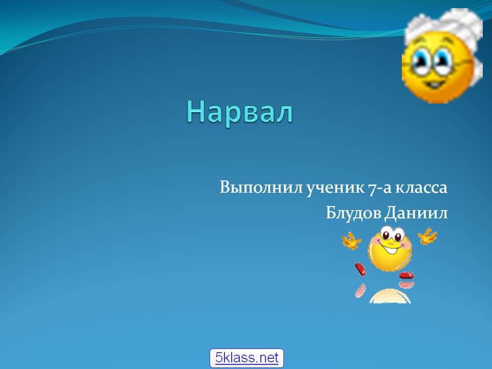 Нарвал