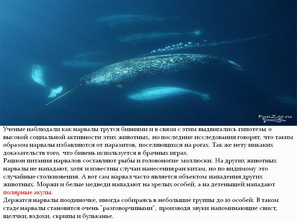 Ученые