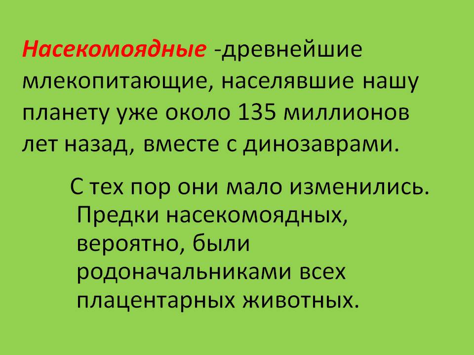 Насекомоядные -древнейшие млекопитающие, населявшие нашу планету уже