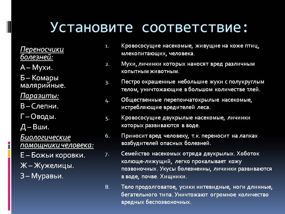Установите соответствие
